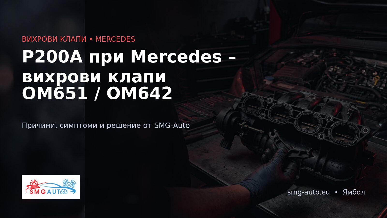 P200A Mercedes – вихрови клапи на всмукателния колектор